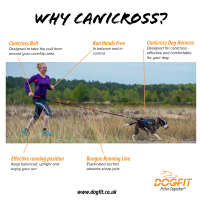 Running with your Dog – the benefits of using canicross equipment